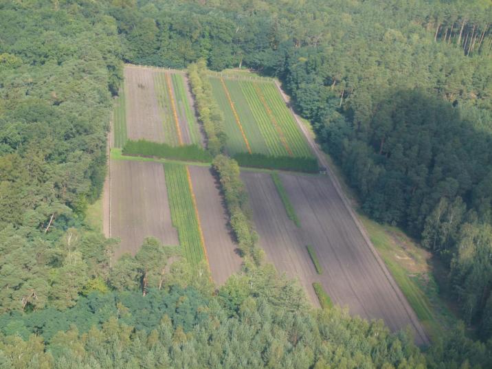 Szkółka&#x20;leśna&#x20;w&#x20;Rogach&#x20;fot&#x2e;&#x20;G&#x2e;&#x20;Łazorko