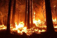 W Lasach rusza sezon „na pożary”