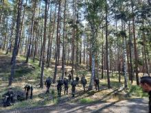 Poszukiwania padłych dzików w lasach Nadleśnictwa Lubniewice